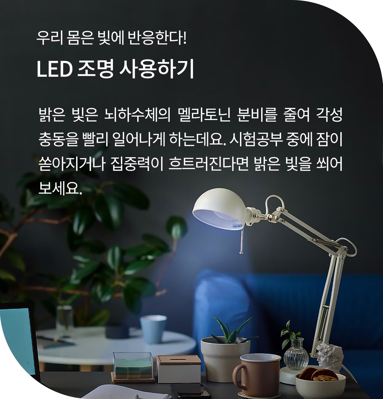 어두운 방 안 책상 위에 LED 스탠드 조명이 켜져 있으며, 화분과 커피잔, 필기 도구 등이 놓여 있다. 화면 상단에는 '우리 몸은 빛에 반응한다! LED 조명 사용하기'라는 제목과 함께, 밝은 빛이 멜라토닌 분비를 줄여 집중력을 높이는 효과가 있음을 설명하는 문구가 포함되어 있다.