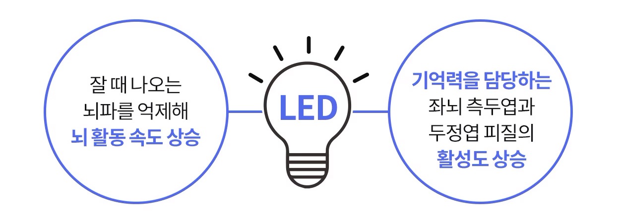 중앙에 전구 아이콘과 'LED'라는 텍스트가 있고, 왼쪽 원에는 '잘 때 나오는 뇌파를 억제해 뇌 활동 속도 상승', 오른쪽 원에는 '기억력을 담당하는 좌뇌 측두엽과 두정엽 피질의 활성도 상승'이라는 설명이 쓰여 있다. 각 문구의 핵심 단어는 파란색으로 강조되어 있다.