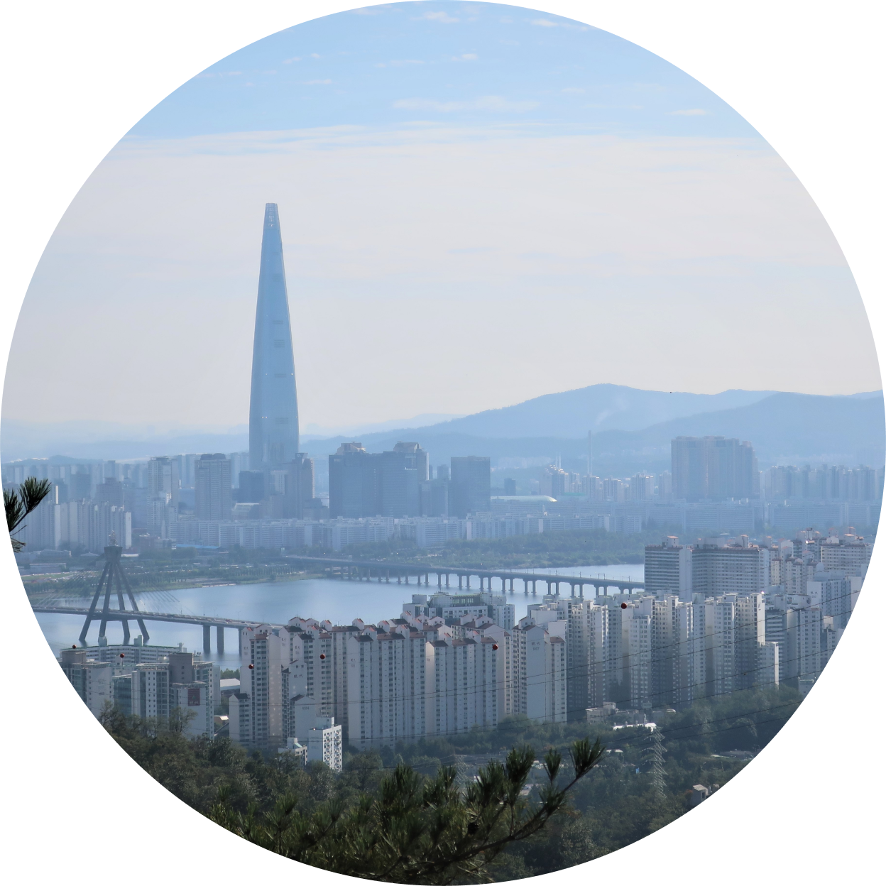 서울의 도심 전경과 한강 다리, 롯데월드타워가 중심에 보이는 풍경을 원형 프레임으로 담은 모습으로, 미세먼지가 낀 도시를 표현함.