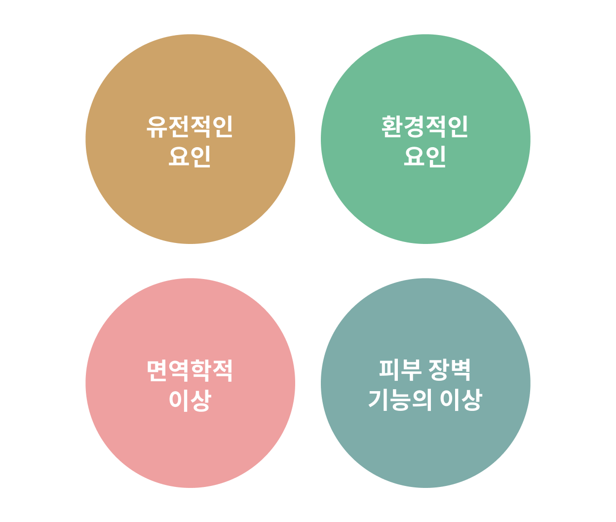 유전적 요인, 환경적인 요인, 면역학적 요인, 피부 장벽 기능의 이상.