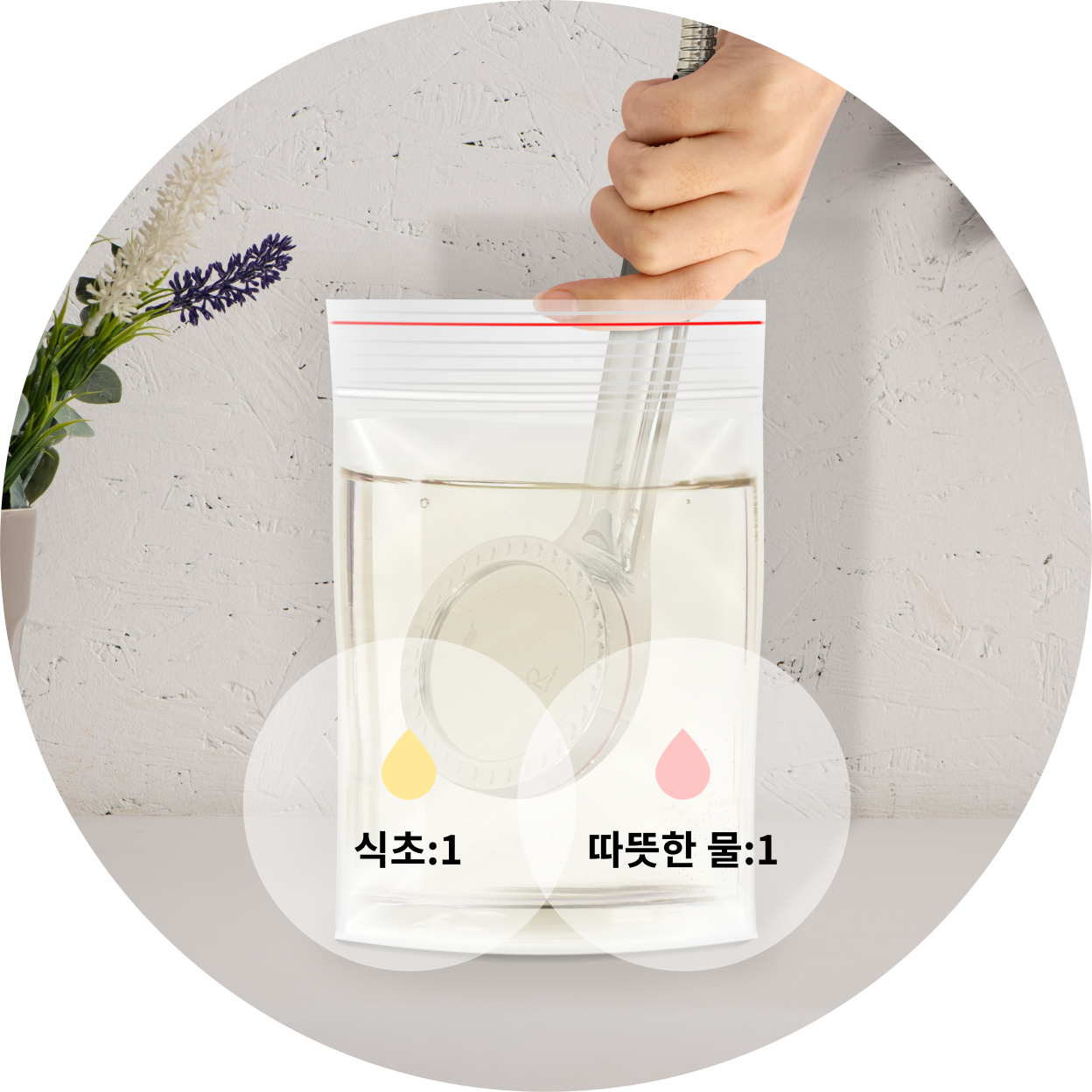 식초와 따뜻한 물을 희석한 지퍼백 안에 샤워기 헤드를 세척하고 있는 모습