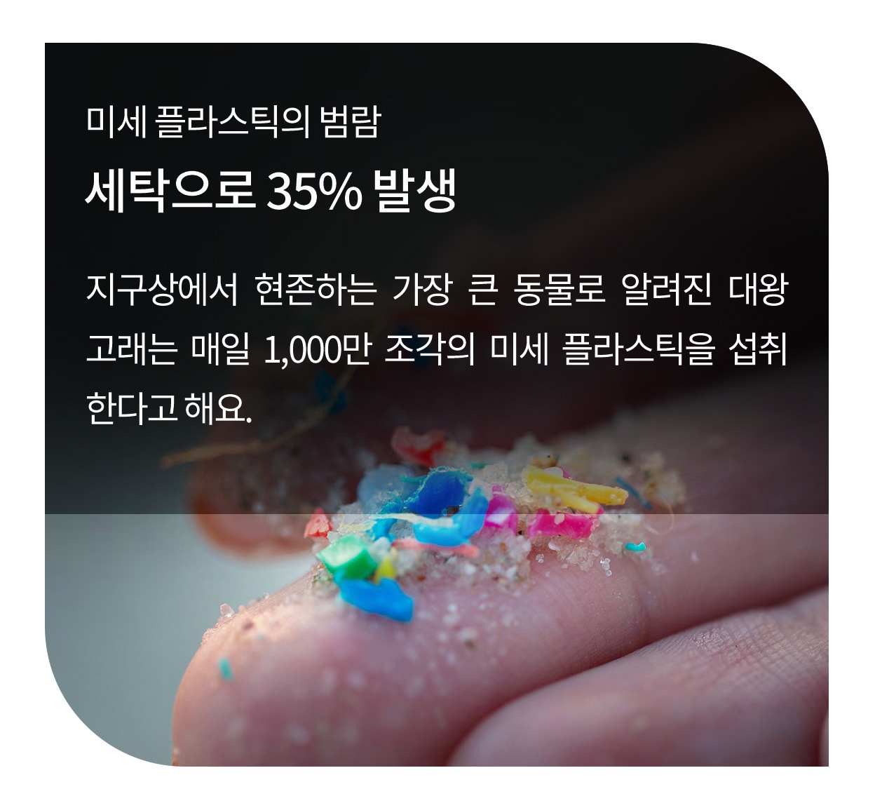 미세 플라스틱의 범람. 세탁으로 35% 발생. 지구상에서 현존하는 가장 큰 동물로 알려진 대왕고래는 매일 1,000만 조각의 미세 플라스틱을 섭취한다고 해요. 손바닥 위에 다양한 색상의 미세 플라스틱 조각들이 묻어 있는 모습.