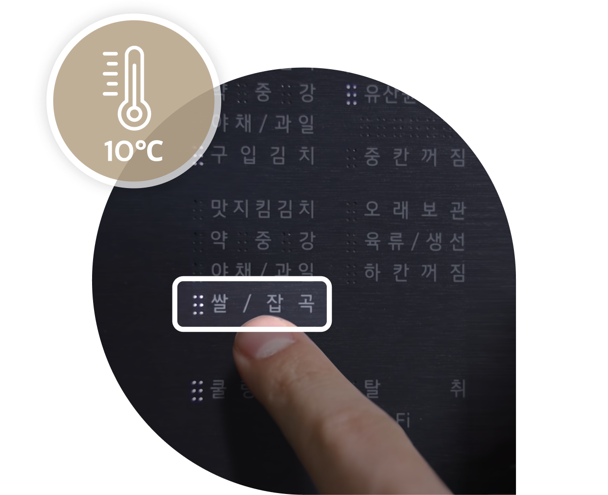 LG 디오스 김치톡톡의 제어 패널 일부를 손가락으로 선택하는 모습. '쌀/잡곡' 모드가 강조되어 있으며, 10°C로 설정된 온도 아이콘이 상단에 표시되어 쌀과 잡곡 보관에 적합한 온도를 안내하고 있다.