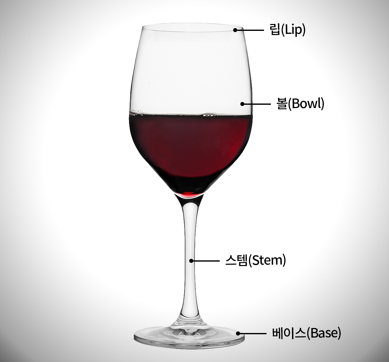 와인 잔의 구조를 설명하는 이미지로, 립(Lip), 볼(Bowl), 스템(Stem), 베이스(Base) 각 부분에 라벨이 붙어 있는 모습.