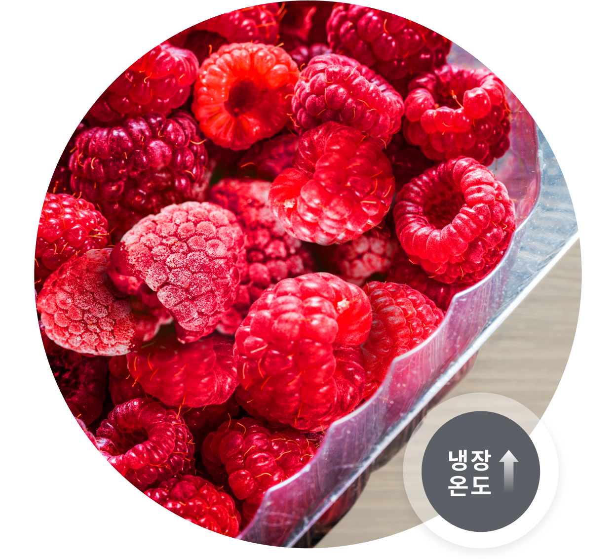 플라스틱 용기에 담긴 신선한 라즈베리와 일부 냉동된 라즈베리가 함께 보이며, '냉장 온도' 아이콘이 표시된 모습