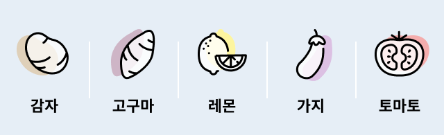 감자, 고구마, 레몬, 가지, 토마토를 상징하는 아이콘과 함께 각 식품의 이름이 표시된 모습