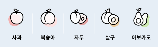 사과, 복숭아, 자두, 살구, 아보카도를 나타내는 아이콘과 함께 각 과일의 이름이 표시된 모습