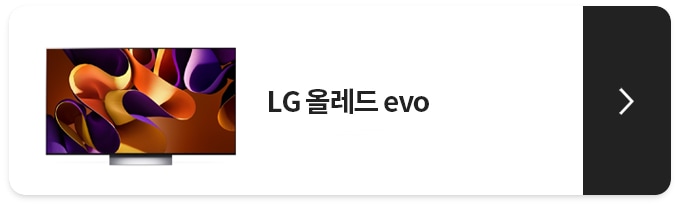 LG 올레드 evo