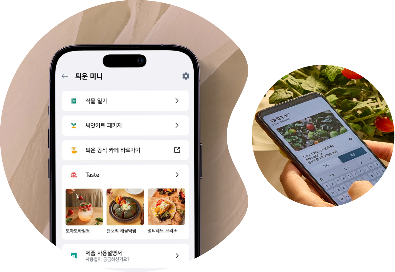 새싹 솎아주기의 두번째 슬라이드 이미지