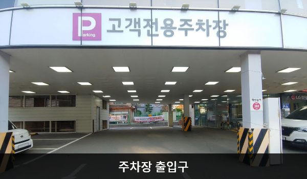 해운대서비스센터의 1층에 'P 고객전용주차장' 간판이 있는 방향으로 들어오셨다면 건물 바로 아래와 안쪽에 지상 주차장이 있습니다. 건물 출입문과 주차장이 함께 있습니다.