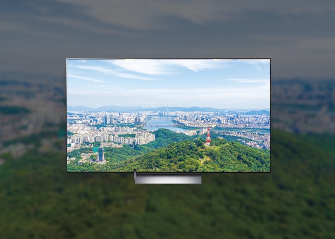 대형 TV 화면 프레임 안에 나무가 우겨진 남산과 멀리에는 한강이 보입니다.