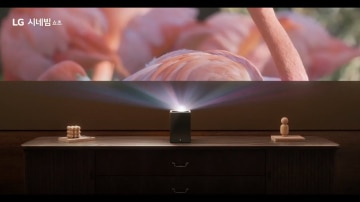 플라밍고 영상을 벽에 투사 중인 LG 시네빔 프로젝터가 테이블 위에 놓여 있음
