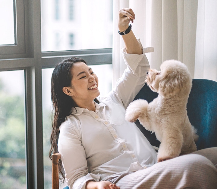 tower_Pet-care_Powersaving_m