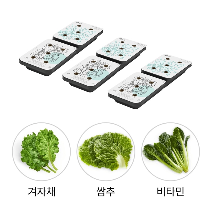 틔운 씨앗패키지 제품 이미지 겨자채, 쌈추, 비타민