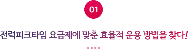 01 전력피크타임 요금제에 맞춘 효율적 운용 방법을 찾다!