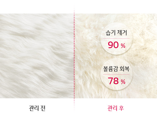 관리 전, 관리 후 비교. 관리 후 습기 제거 90%, 볼륨감 회복 78%